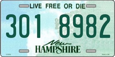 NH license plate 3018982