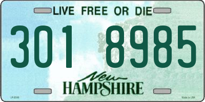 NH license plate 3018985