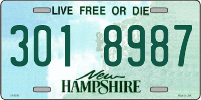 NH license plate 3018987