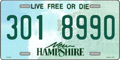 NH license plate 3018990