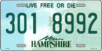 NH license plate 3018992