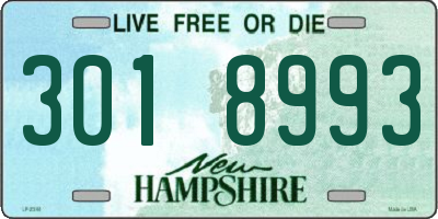 NH license plate 3018993