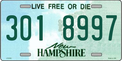 NH license plate 3018997