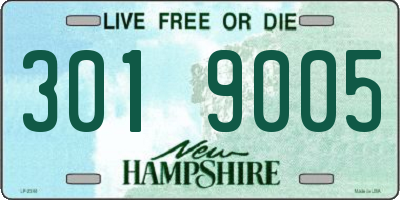 NH license plate 3019005