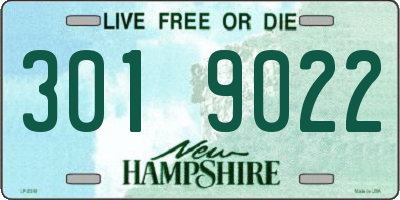NH license plate 3019022