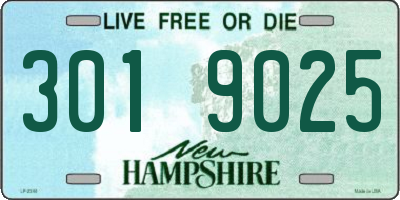 NH license plate 3019025