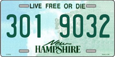 NH license plate 3019032