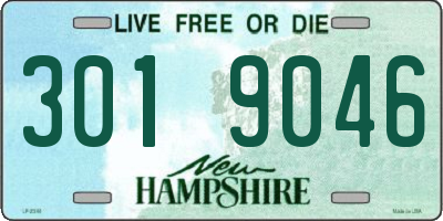 NH license plate 3019046