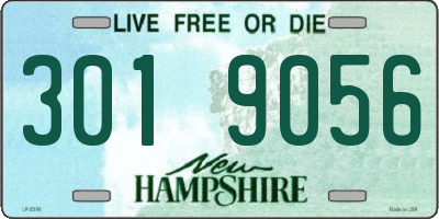 NH license plate 3019056