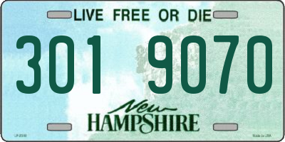 NH license plate 3019070