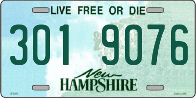 NH license plate 3019076