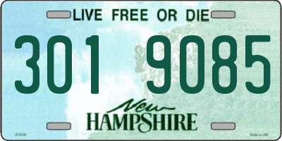NH license plate 3019085