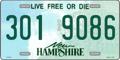 NH license plate 3019086