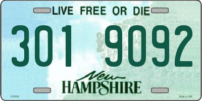 NH license plate 3019092