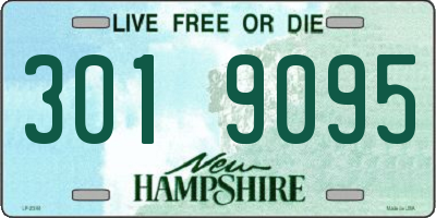 NH license plate 3019095