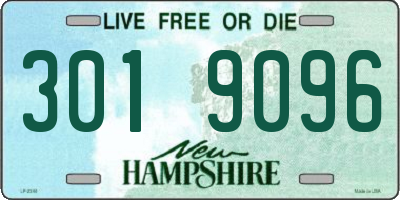 NH license plate 3019096