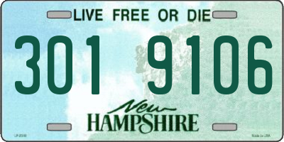 NH license plate 3019106