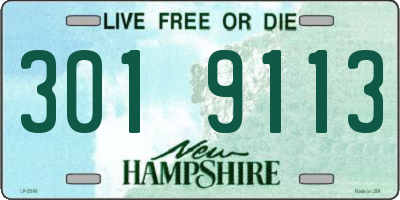 NH license plate 3019113