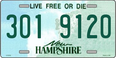 NH license plate 3019120