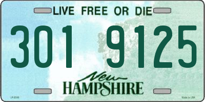 NH license plate 3019125