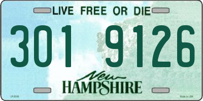 NH license plate 3019126