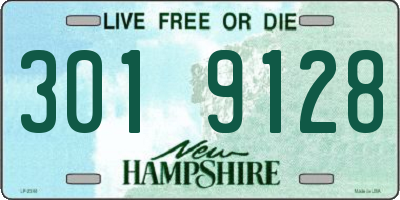 NH license plate 3019128