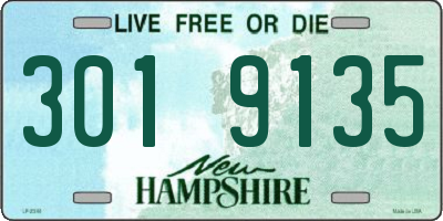 NH license plate 3019135