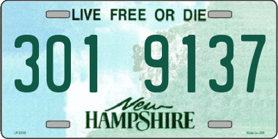 NH license plate 3019137