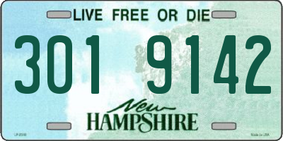 NH license plate 3019142
