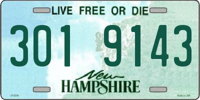 NH license plate 3019143