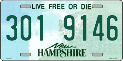 NH license plate 3019146