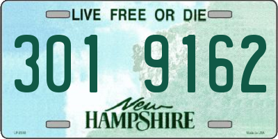 NH license plate 3019162