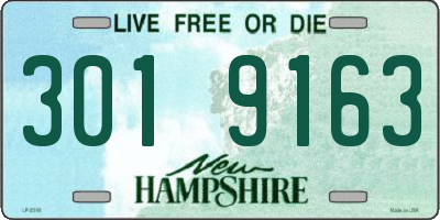 NH license plate 3019163