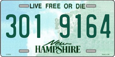 NH license plate 3019164
