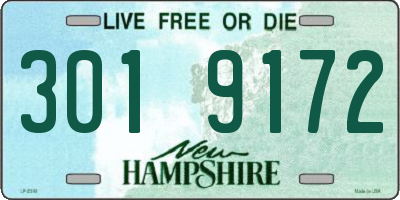 NH license plate 3019172