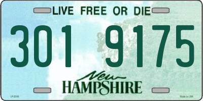 NH license plate 3019175