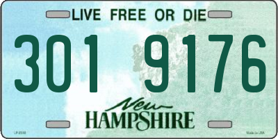 NH license plate 3019176