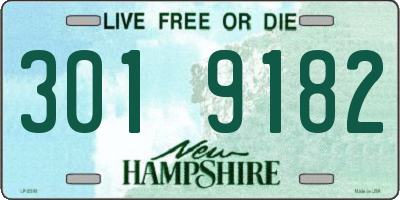 NH license plate 3019182