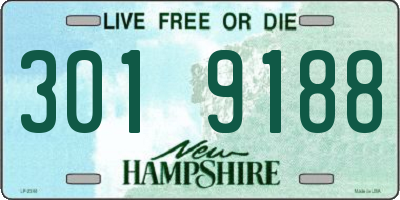 NH license plate 3019188