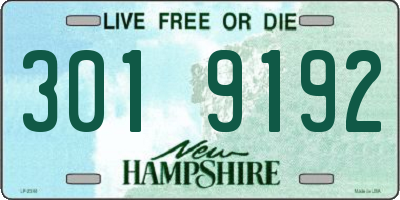 NH license plate 3019192