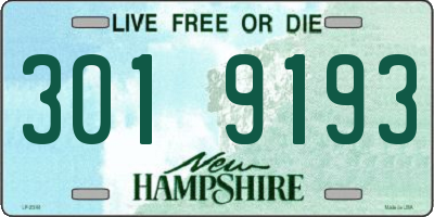 NH license plate 3019193