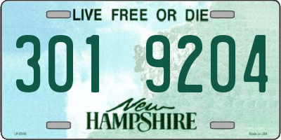NH license plate 3019204