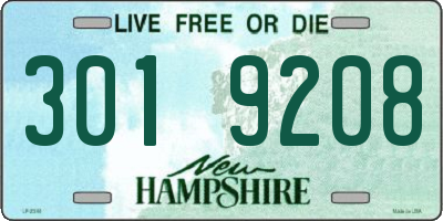 NH license plate 3019208