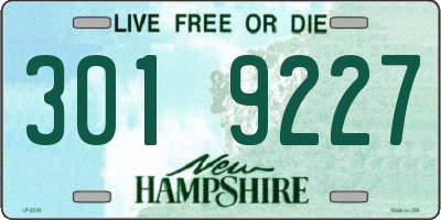 NH license plate 3019227