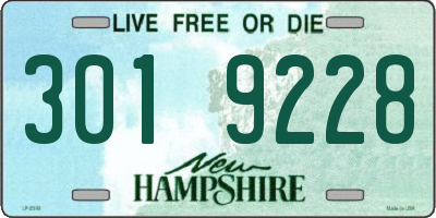 NH license plate 3019228