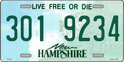 NH license plate 3019234