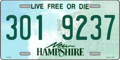 NH license plate 3019237