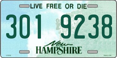 NH license plate 3019238
