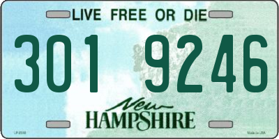 NH license plate 3019246