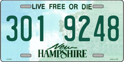NH license plate 3019248